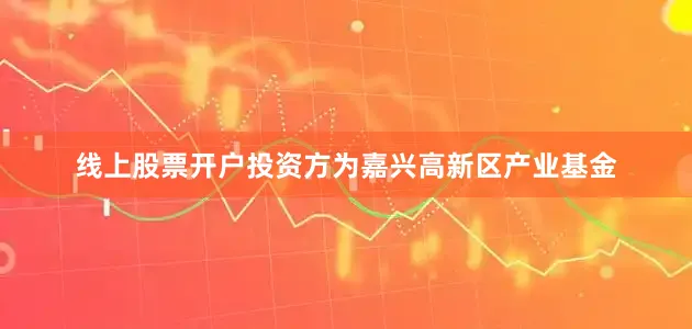 线上股票开户投资方为嘉兴高新区产业基金