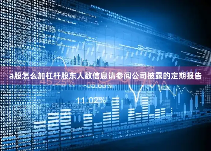 a股怎么加杠杆股东人数信息请参阅公司披露的定期报告